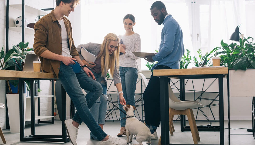 Happy coworkers looking at small dog and smiling