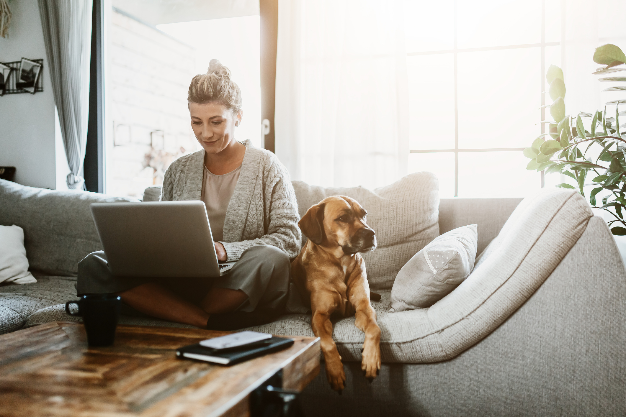 photo: a woman using a laptop sits next to a dog on a canvas couch